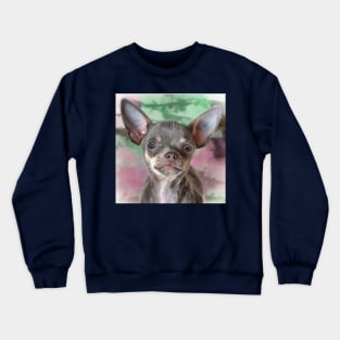 Cheeky Chihuahua Hello Funny Face art Crewneck Sweatshirt